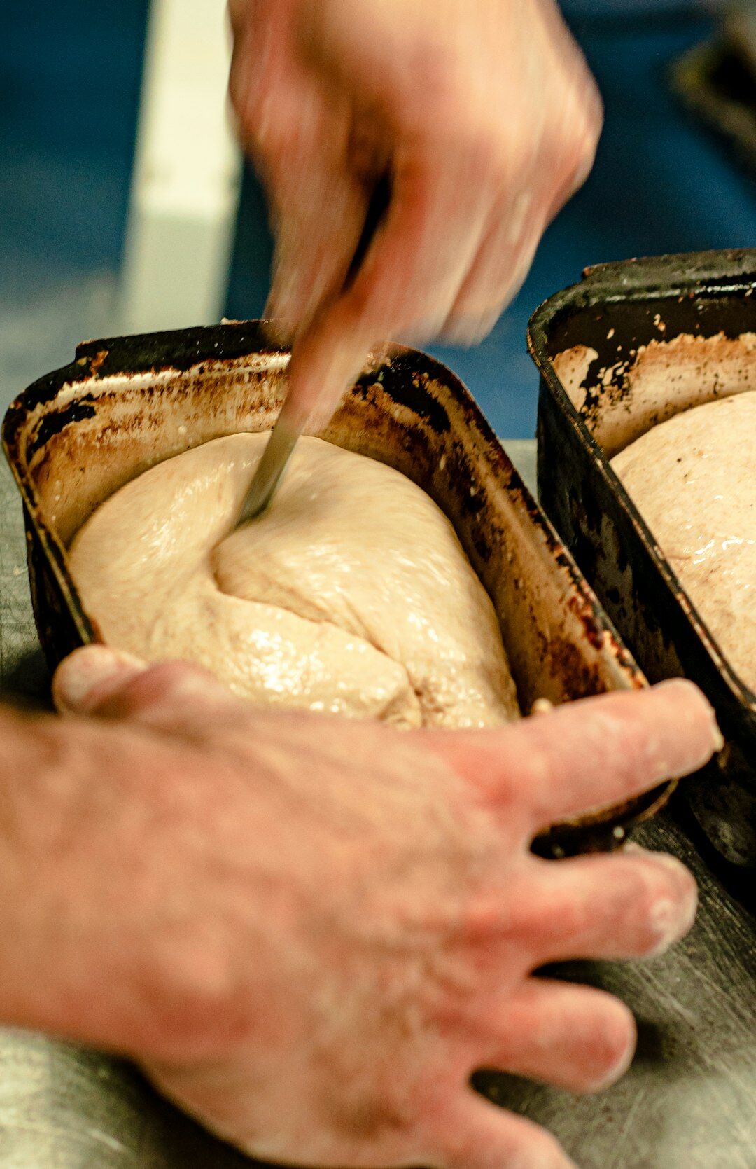 bread dough rising